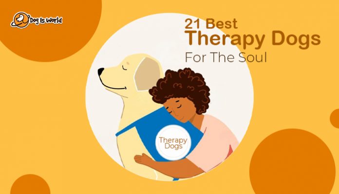 animated image of a girl hugging her therapy dog