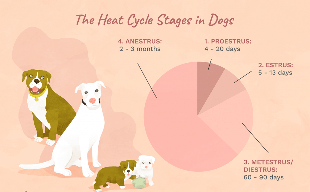 Heat Cycle