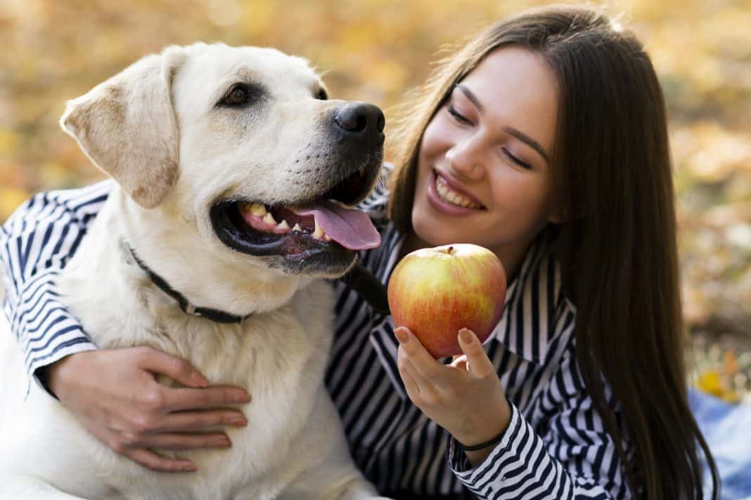 why do dogs like eating human food