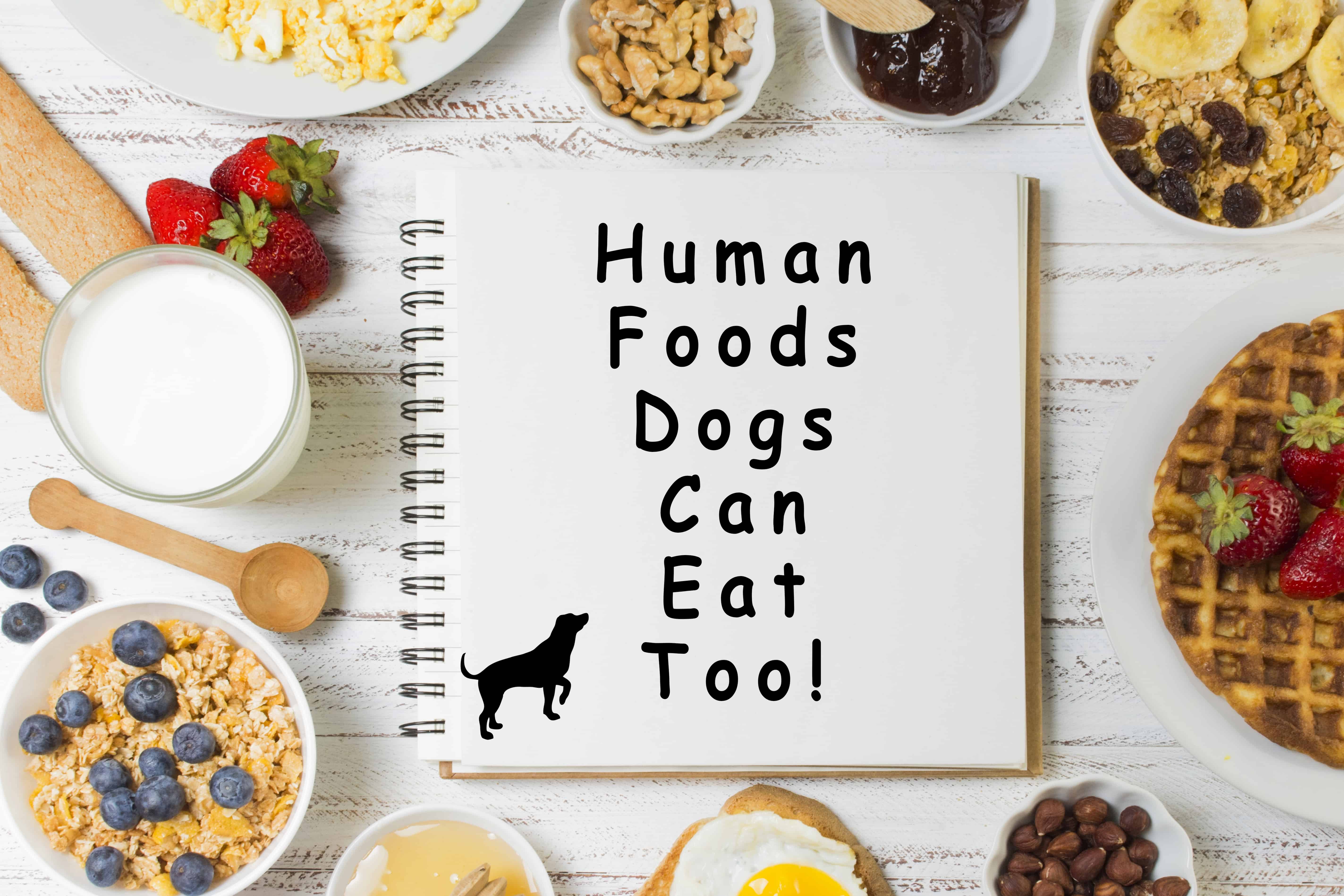 can dogs eat people food