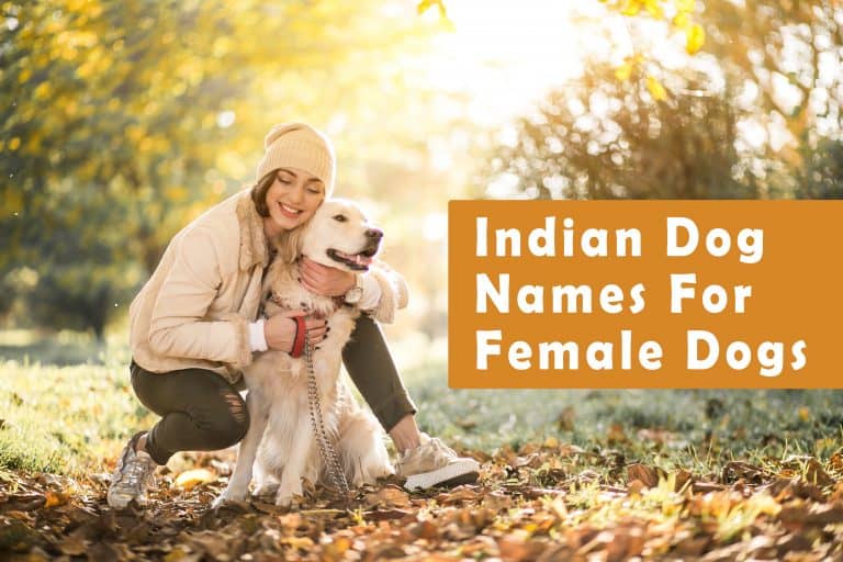 Indian Names For Dogs - Funny, Cute, Hindi, Tamil, Telugu, Marathi