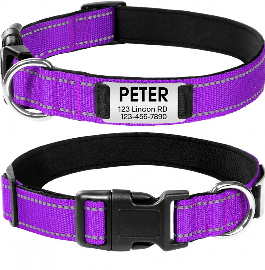 Joytale Personalized Dog Collar with Engraved Slide