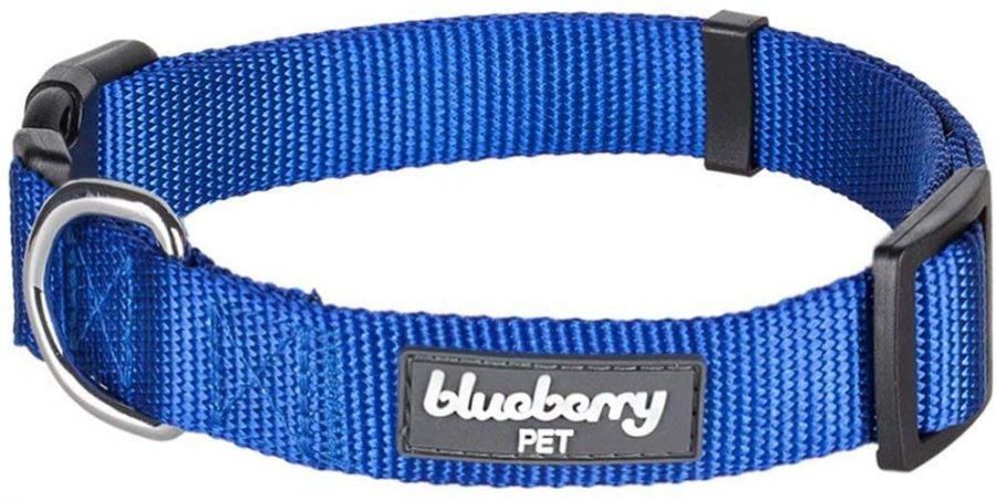 Blueberry Pet Essential Collar