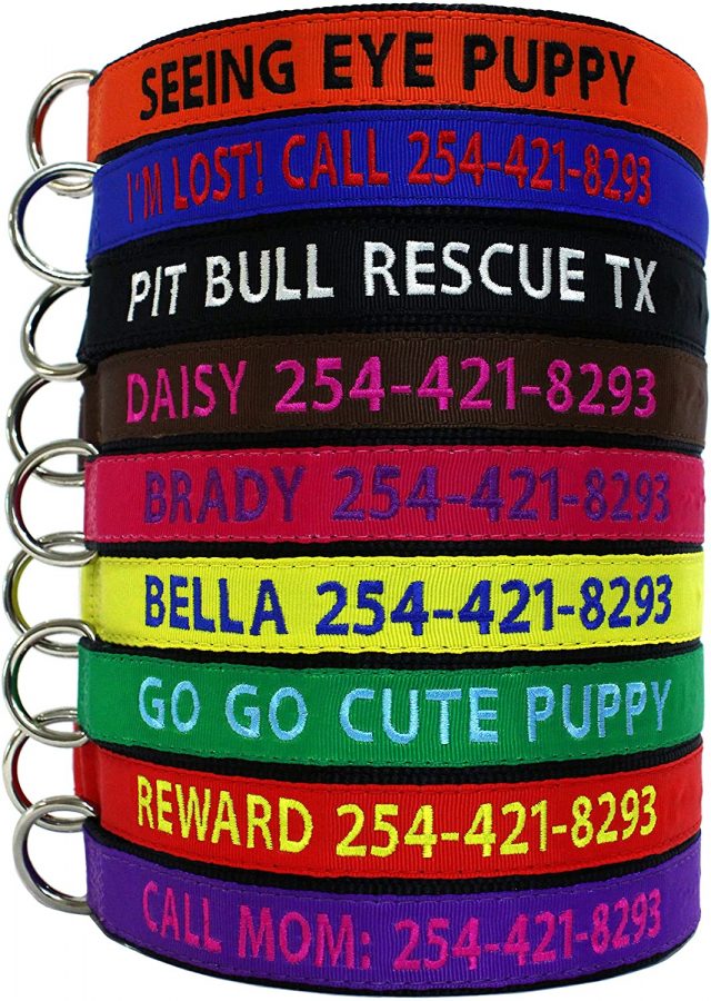 Go Go Cute Puppy- Personalized Dog Collars
