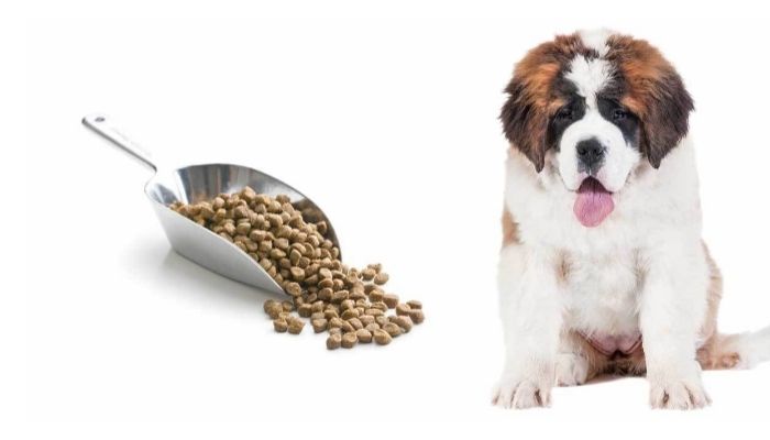 Puppy Feeding Guide for Large Breed Puppies