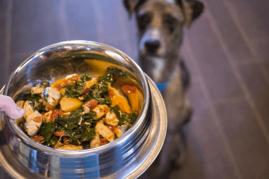 Homemade Dog Food For Small Dogs