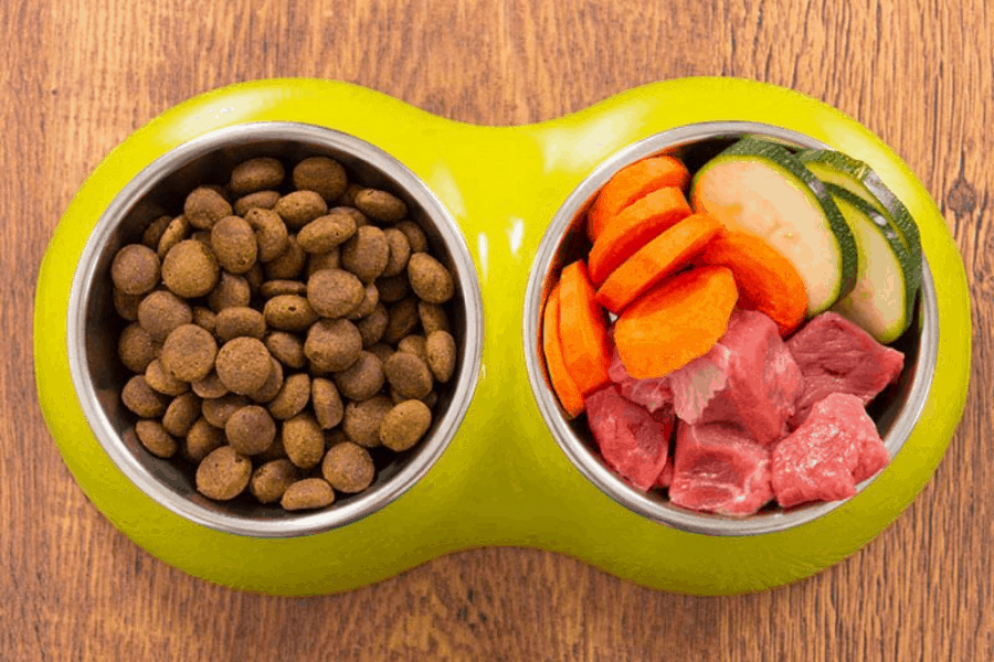Homemade Dog Food Versus Store Brought Food