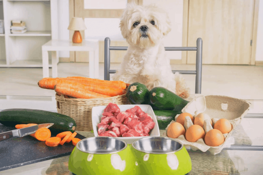 What Do You Put In Homemade Dog Food?