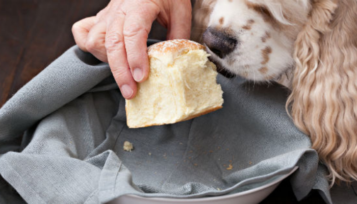 yeast dough for dogs
