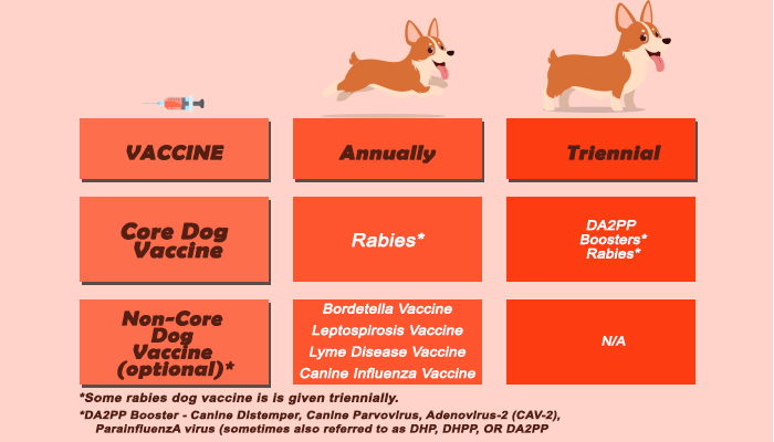 Dog Vaccine Schedule Table
