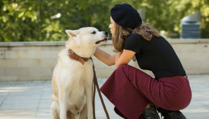 An akita dog licking the chin of a woman wearing black hat, black top and maroon pants. The background is blur with trees and a water tank. 