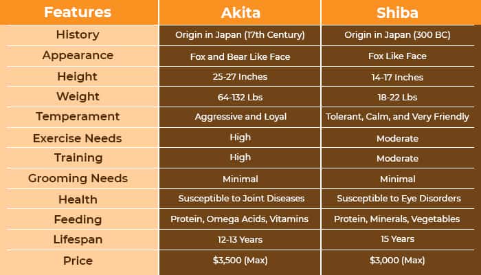 The chart states the common differences between Akita and Shiba Inu.