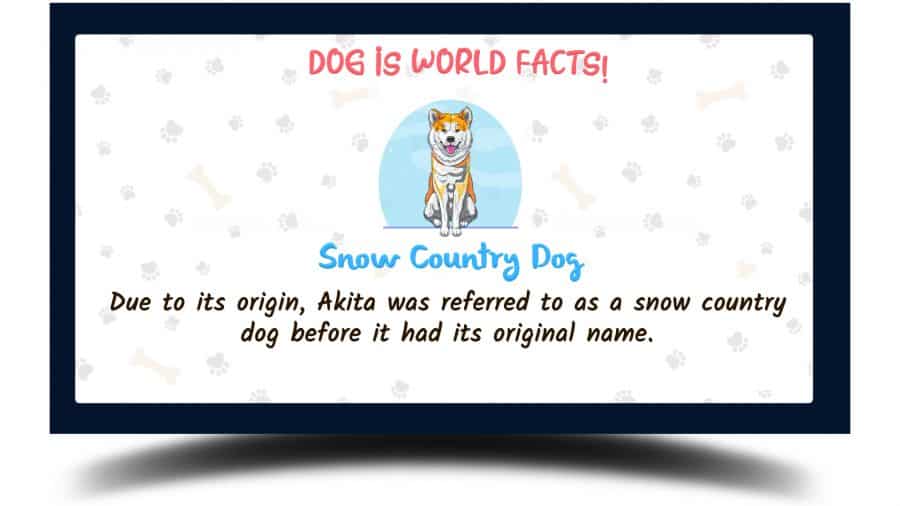 fact about akita with a vector image of the akita dog on a white background