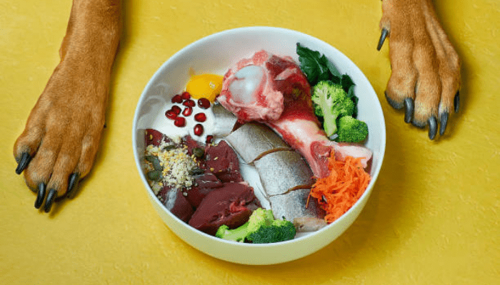 a bowl of raw tuna fish and vegetables with two dog paws 
