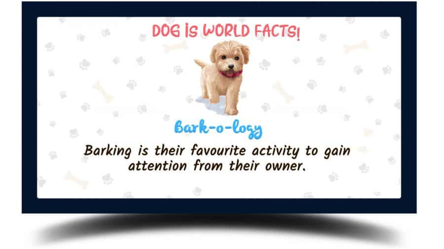 graphical image of a maltipoo with a fact stating barking is their favourite activity to gain attention from their owners.