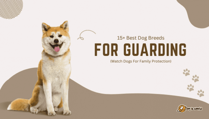Best dog breeds for guarding.