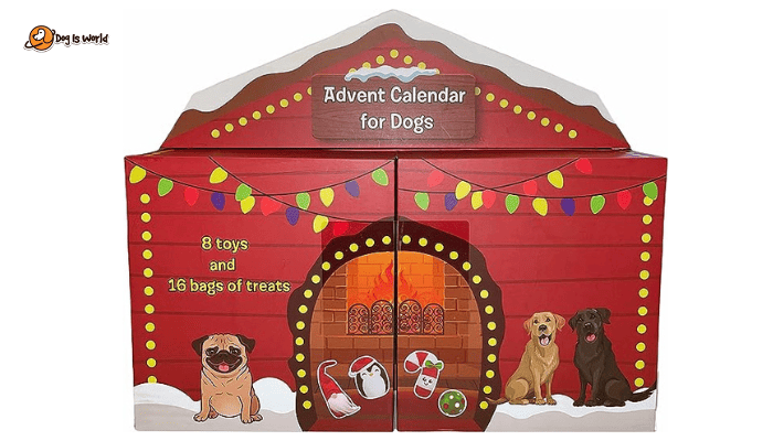 Advent calendar for dogs. 