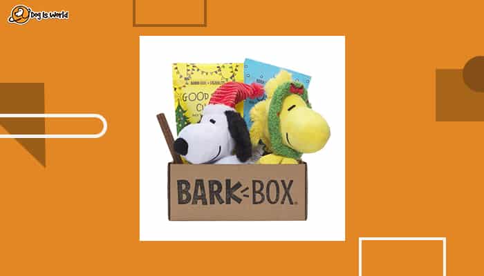 bark box as gifts for dog lovers  