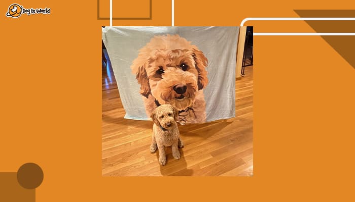Blanket as gifts for dog lovers  