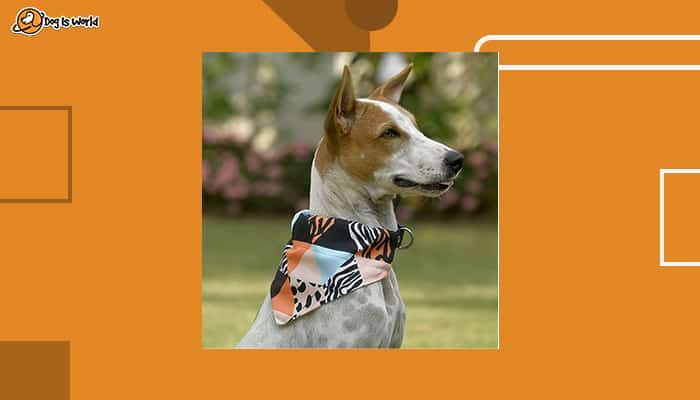 Bandana as gifts for dog lovers  