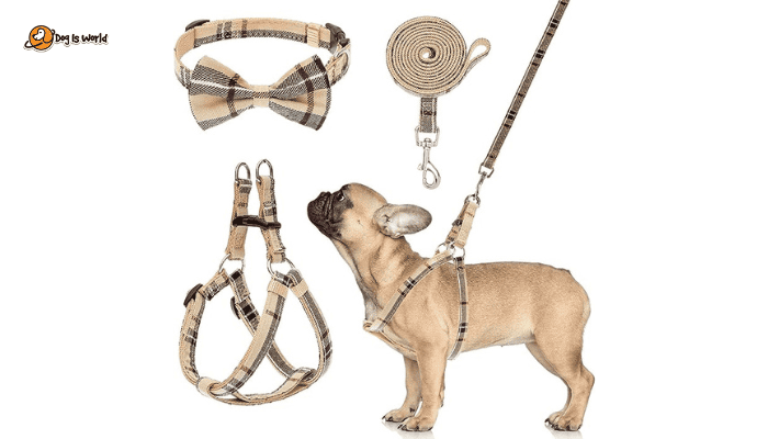 Gucci pet leash as luxury gifts for dogs.