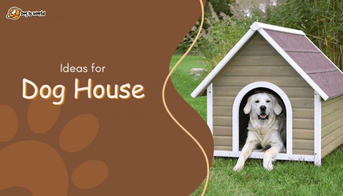 Ideas for Dog House.