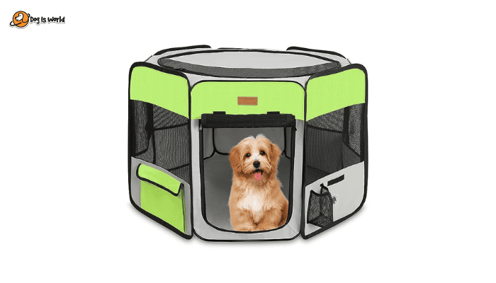 An indoor dog kennel as one of the best ideas for dog house.