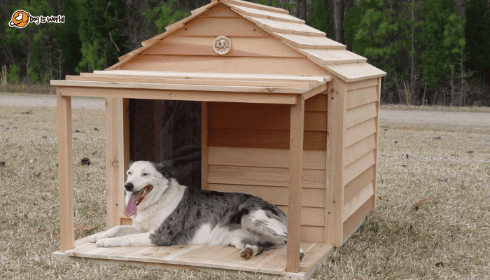 A dog laying on his patio as a great ideas for dog house