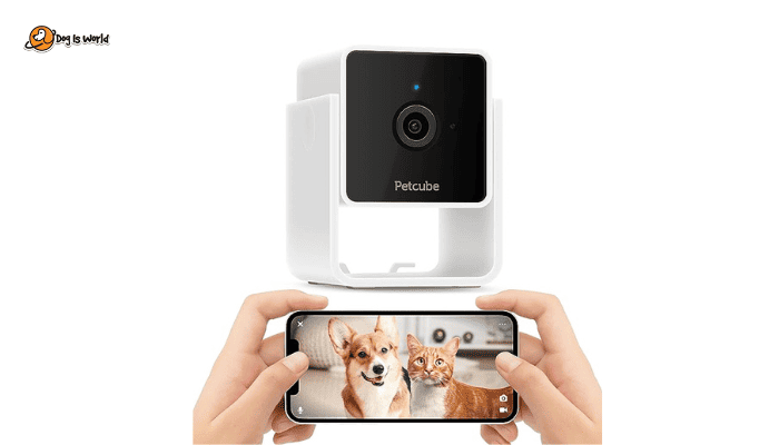 Pet monitoring camera as luxury gifts for dogs. 