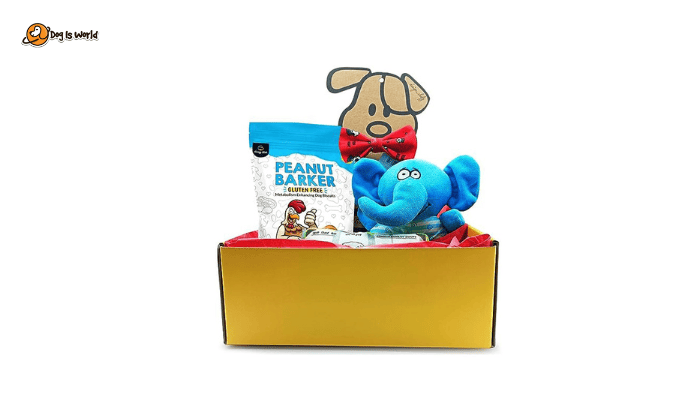 Puppy joy box as luxury gifts for dogs. 