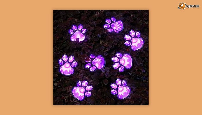 Solar paw-print lights as dog memorial gifts.