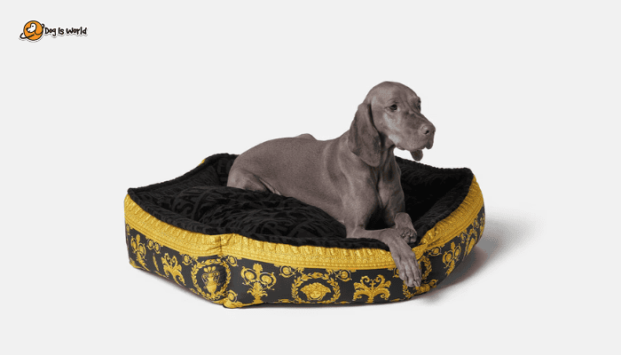 Versace Dog bed as luxury gifts for dogs.