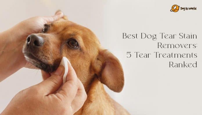 dog tear stain remover cover