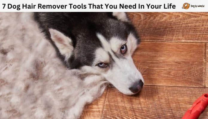 Trick to remove dog hair