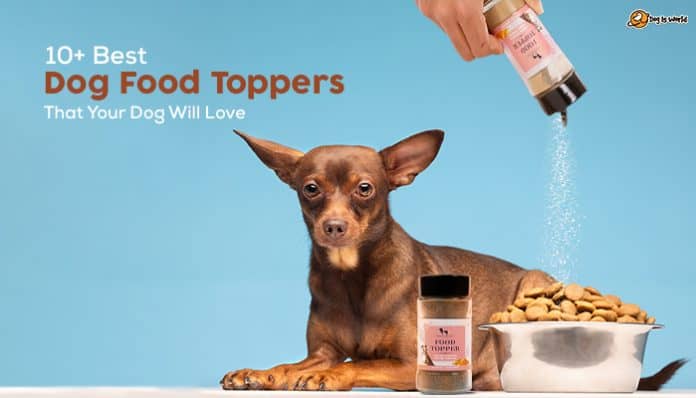 best dog food toppers with a small puppy