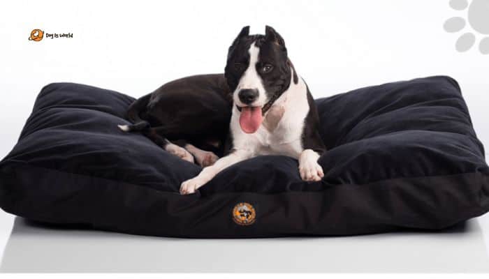 Gorilla Dog Orthopedic Beds Dog Room Products