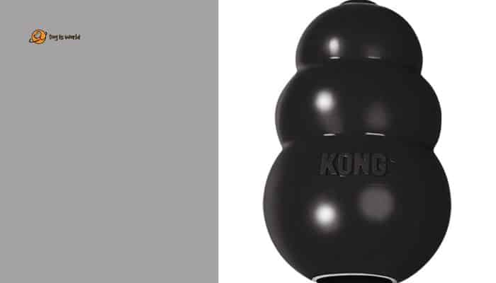 Kong Extreme Dog Toy for Pitbull